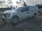 2013 FORD F150