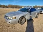 2001 FORD MUSTANG